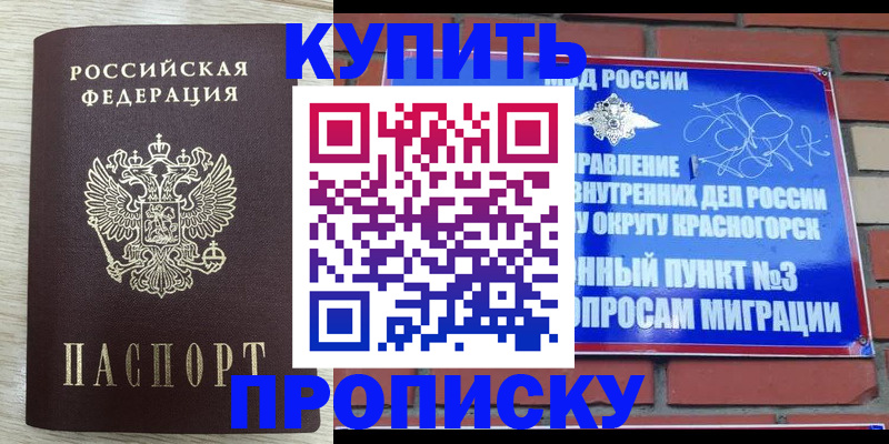 прописка гарантия в Шагонаре
